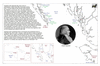 ame35 ingraham_thumb.gif